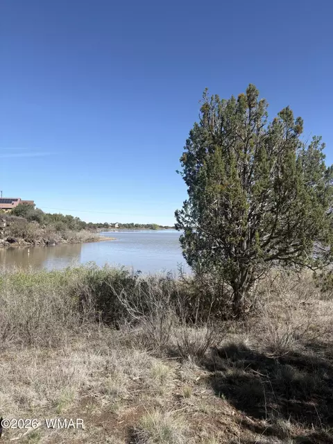 tbd Daggs Cir, Show Low, AZ 85901