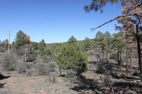 1663 Cactus Flower Rd, Show Low, AZ 85901