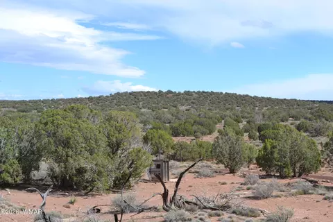 32 N8544, Concho, AZ 85924 photo 8