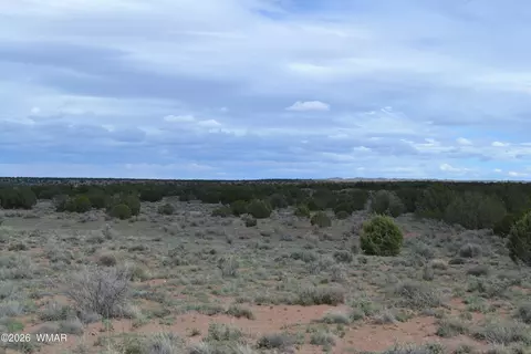 32 N8544, Concho, AZ 85924 photo 16