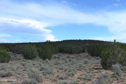 32 N8544, Concho, AZ 85924 photo 14