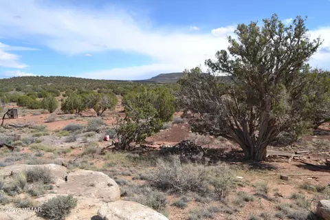 32 N8544, Concho, AZ 85924 photo 3