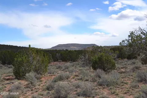 32 N8544, Concho, AZ 85924 photo 13