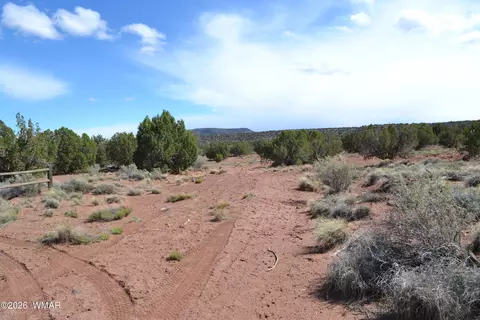 32 N8544, Concho, AZ 85924 photo 18