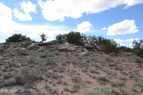 32 N8544, Concho, AZ 85924 photo 11