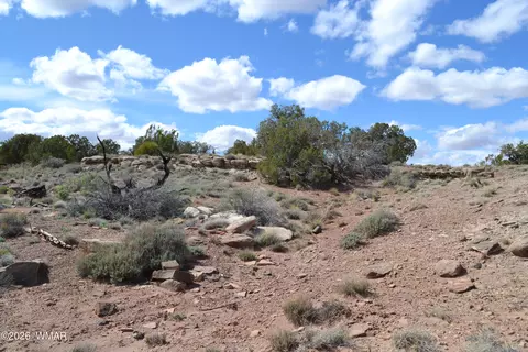 32 N8544, Concho, AZ 85924 photo 10