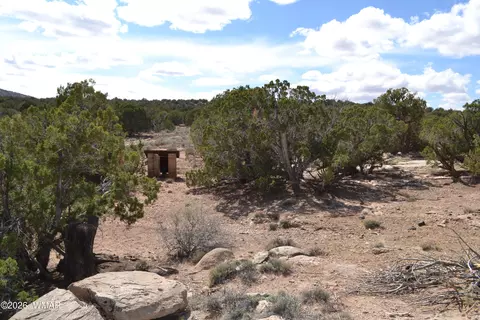 32 N8544, Concho, AZ 85924 photo 5