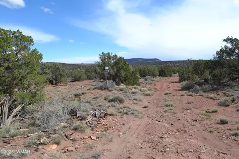 32 N8544, Concho, AZ 85924 photo 19