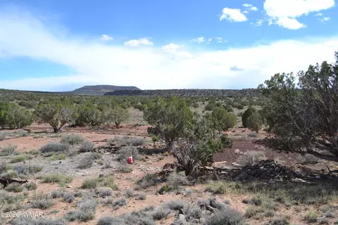 32 N8544, Concho, AZ 85924 photo 6