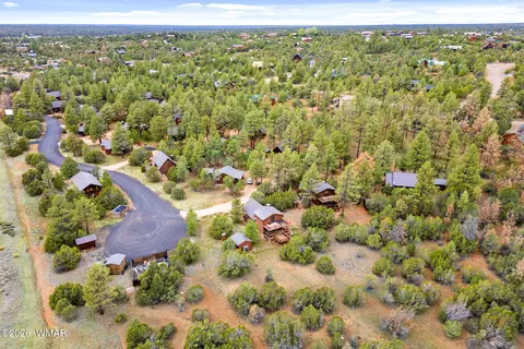 View/Area - 2741 Elk Trail Rd, Overgaard, AZ 85933 photo 6 of 11