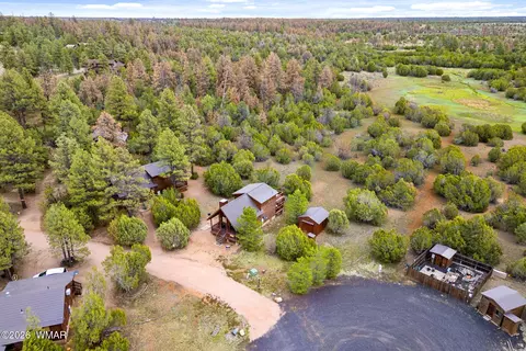View/Area - 2741 Elk Trail Rd, Overgaard, AZ 85933 photo 2 of 11
