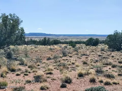 lot222 Woodridge Rnch, Concho, AZ 85924