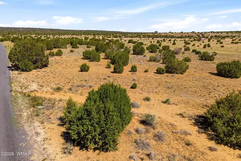 92 County Rd, Concho, AZ 85924 photo 2