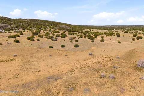 92 County Rd, Concho, AZ 85924 photo 15