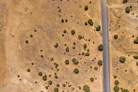 92 County Rd, Concho, AZ 85924 photo 5
