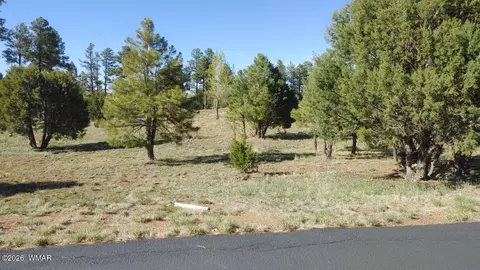 2254 Big Bear Cir, Overgaard, AZ 85933