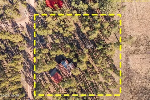 10 County Rd 2271, Alpine, AZ 85920 photo 27