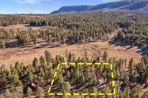 10 County Rd 2271, Alpine, AZ 85920 photo 28