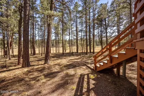 10 County Rd 2271, Alpine, AZ 85920 photo 26