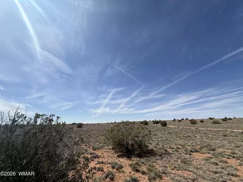 7809 Privette Ln, Snowflake, AZ 85937