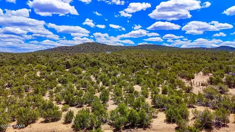 15 County Rd, Vernon, AZ 85940