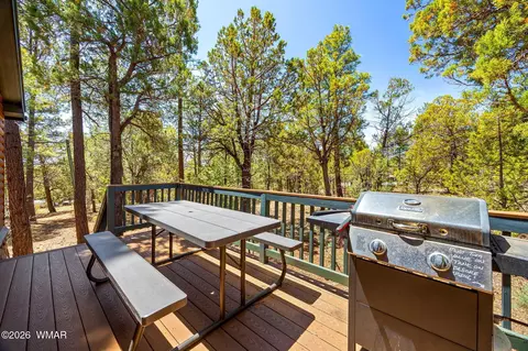 86 Bear Hunter Rd, Lakeside, AZ 85929 photo 22