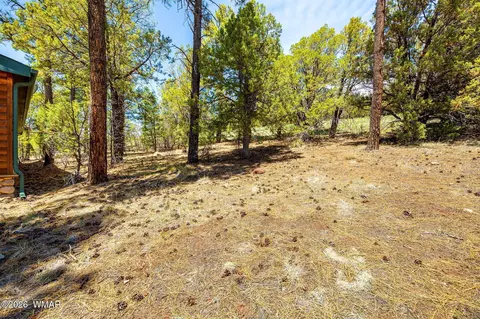 86 Bear Hunter Rd, Lakeside, AZ 85929 photo 25