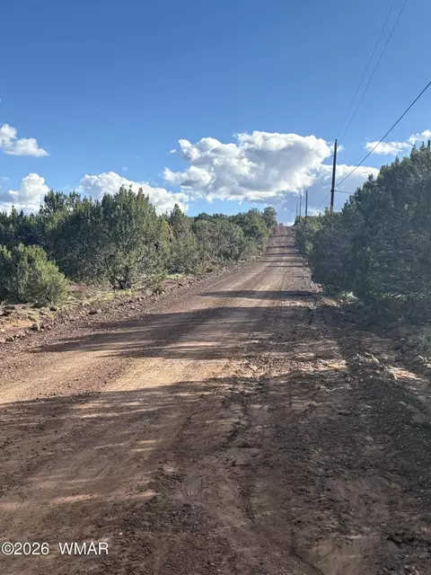 25 County Road 8238 Rd, Vernon, AZ 85940