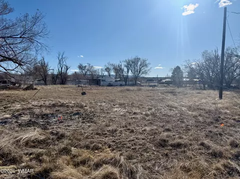 tbd Us-180, Springerville, AZ 85938 photo 4
