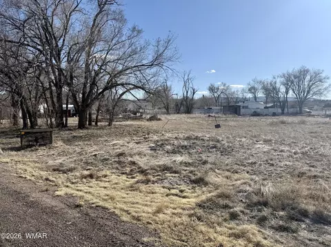 tbd Us-180, Springerville, AZ 85938 photo 3