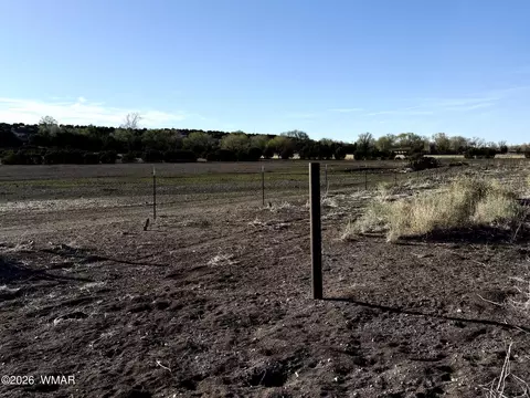 217 N Poverty Flt, Eagar, AZ 85925 photo 43