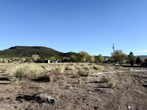 217 N Poverty Flt, Eagar, AZ 85925 photo 41