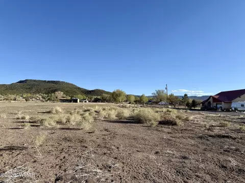 217 N Poverty Flt, Eagar, AZ 85925 photo 31