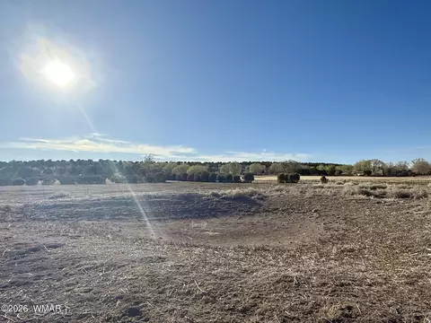 217 N Poverty Flt, Eagar, AZ 85925 photo 39