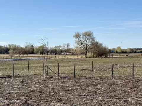 217 N Poverty Flt, Eagar, AZ 85925 photo 38