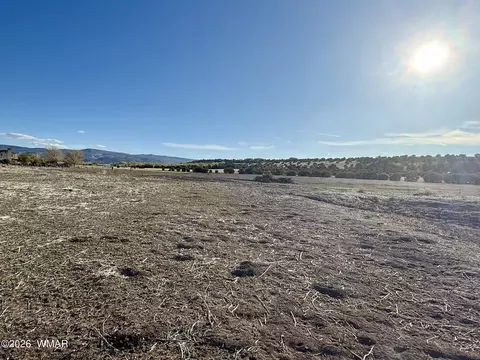 217 N Poverty Flt, Eagar, AZ 85925 photo 33