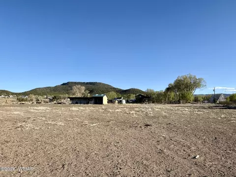 217 N Poverty Flt, Eagar, AZ 85925 photo 26