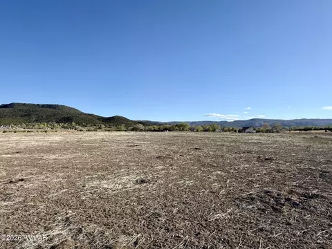 217 N Poverty Flt, Eagar, AZ 85925 photo 36