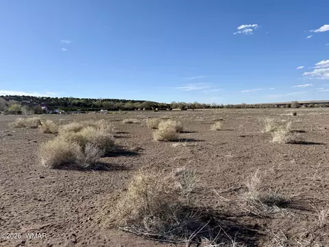 217 N Poverty Flt, Eagar, AZ 85925 photo 32
