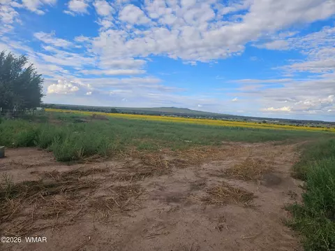 217 N Poverty Flt, Eagar, AZ 85925 photo 44