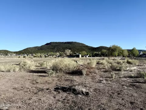 217 N Poverty Flt, Eagar, AZ 85925 photo 37