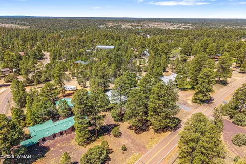 2908 Pine Rim Rd, Overgaard, AZ 85933 photo 29