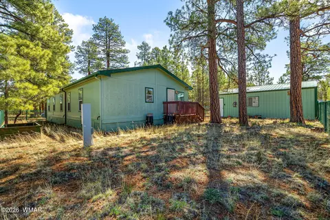 2908 Pine Rim Rd, Overgaard, AZ 85933 photo 26