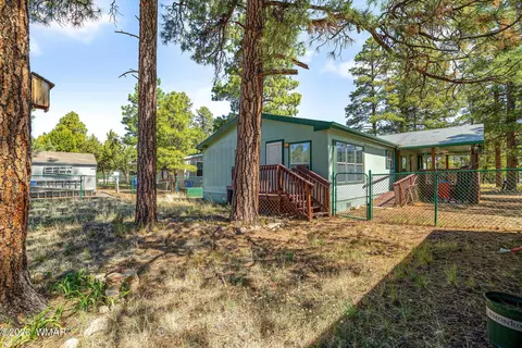 2908 Pine Rim Rd, Overgaard, AZ 85933 photo 25