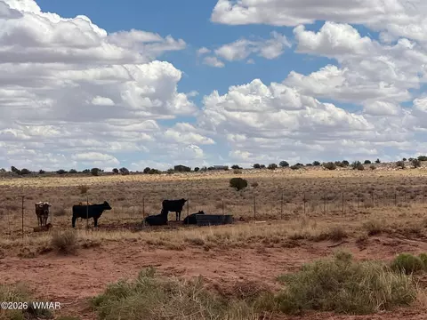 8400 8358 8357 Terry Trl, Snowflake, AZ 85937