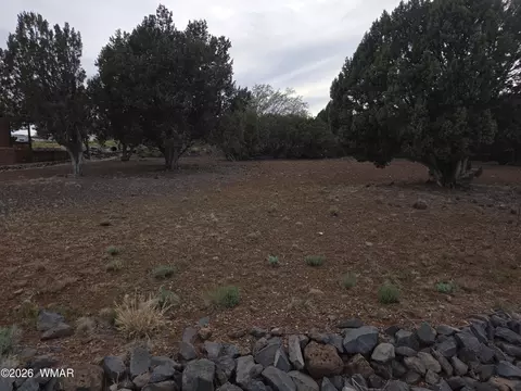 1934 Passage Dr #38, Show Low, AZ 85901