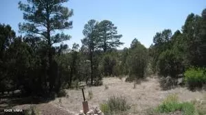 Undisclosed, Overgaard, AZ 85933