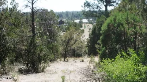 Undisclosed, Overgaard, AZ 85933 photo 3