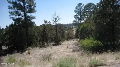 Undisclosed, Overgaard, AZ 85933 photo 2