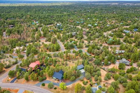 View/Area - 2937 Ransack Rd, Overgaard, AZ 85933 photo 3 of 5